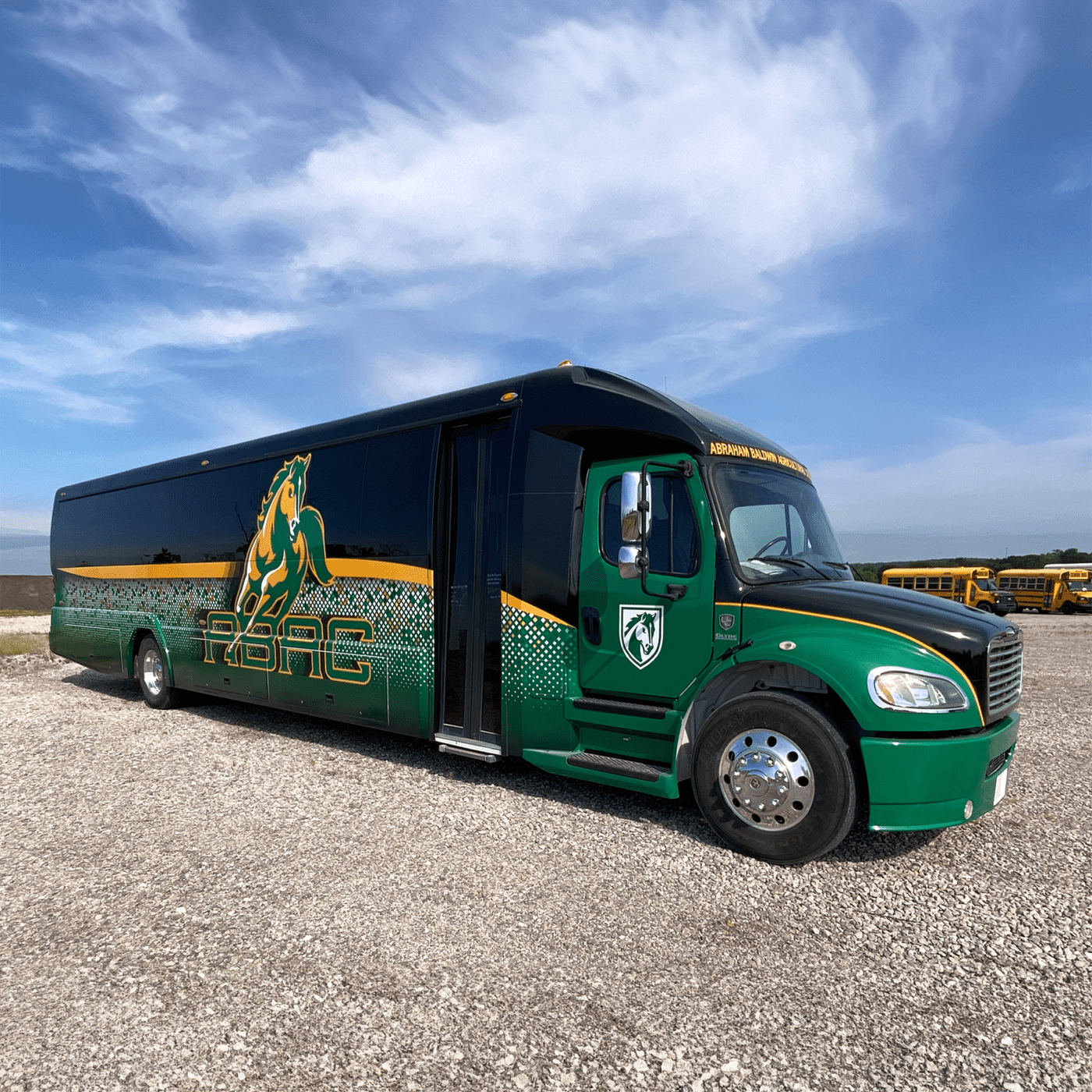 sq1 Used School Bus For Sale Minnesota