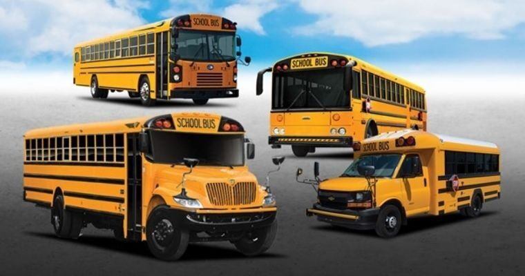 School Buses