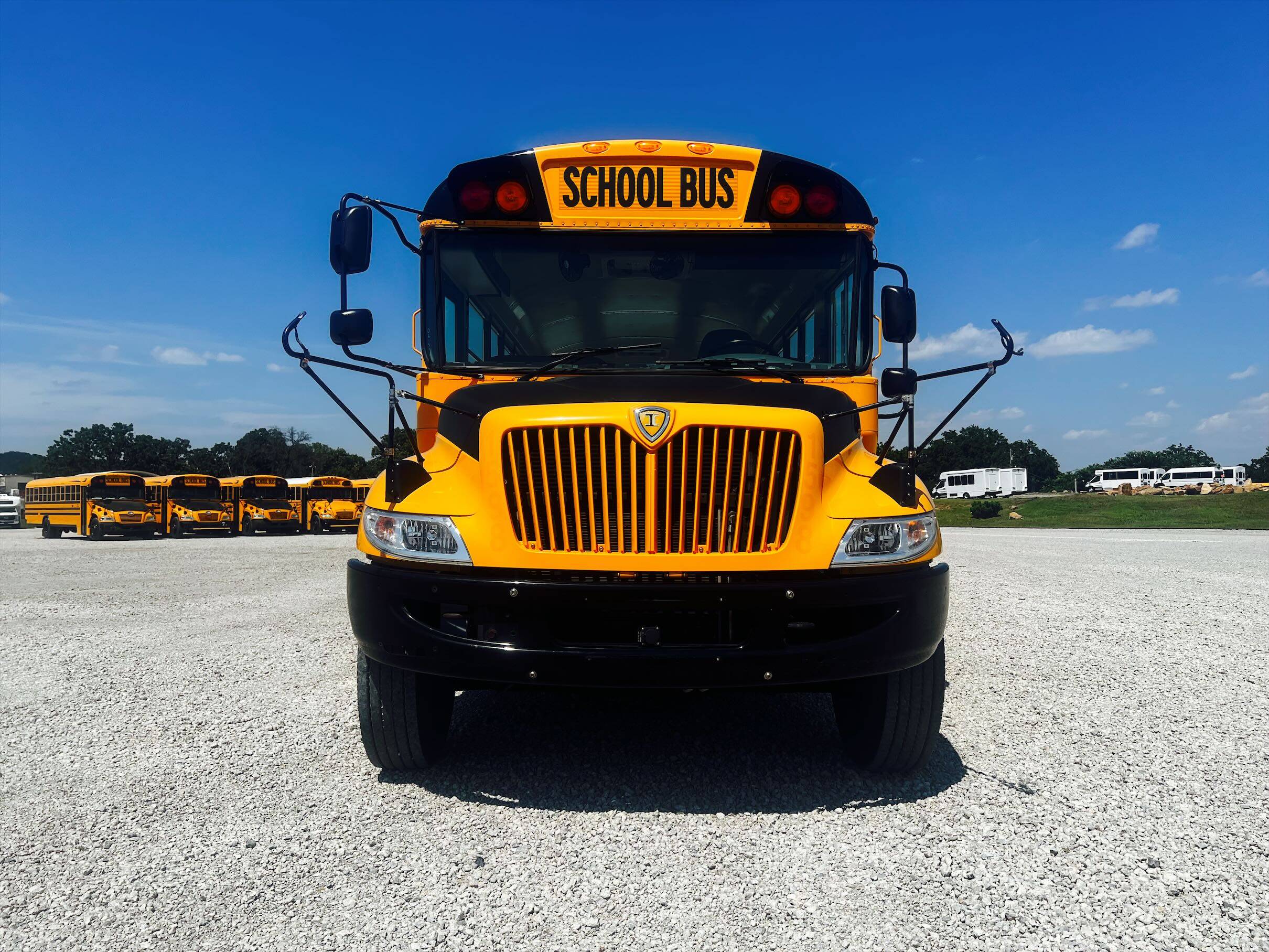 Used School Bus For Sale Minnesota