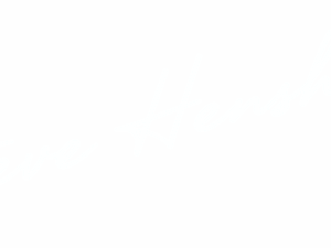 SteveHenshawSignatureFakeWhite bus rentals