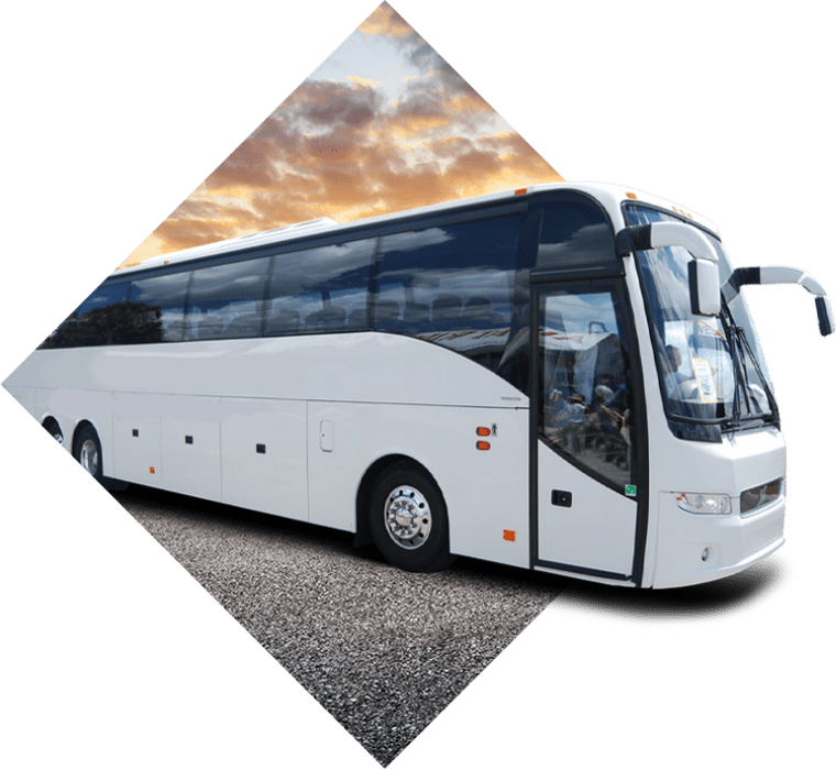 buses for sale
