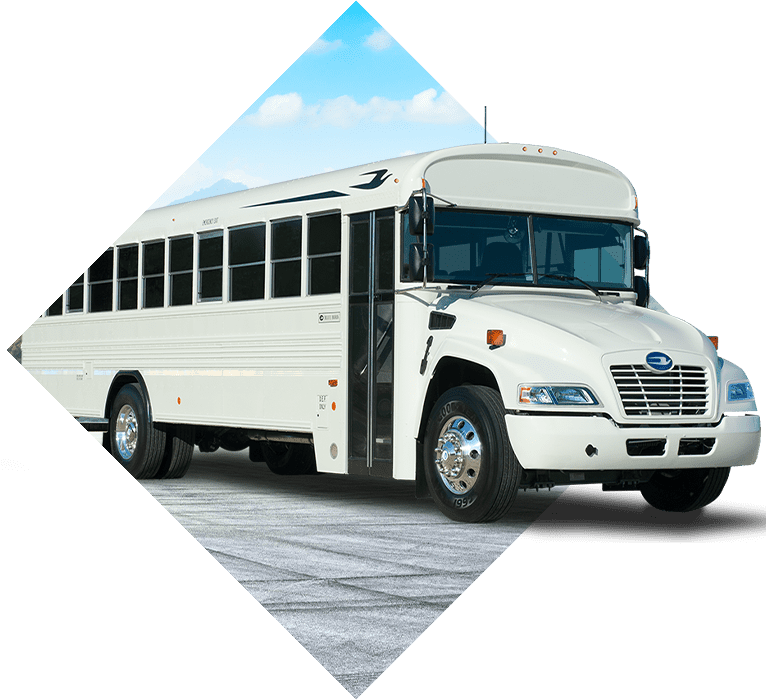 buses for sale