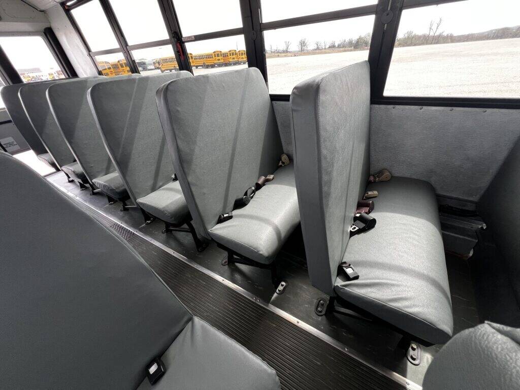 f988236e 9ad2 438d 81b6 a2f9129ac86c bus rentals