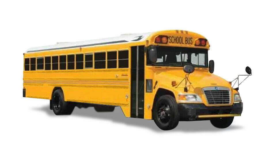 Yellow-rub-rails-bluebird new school buses for sale New York